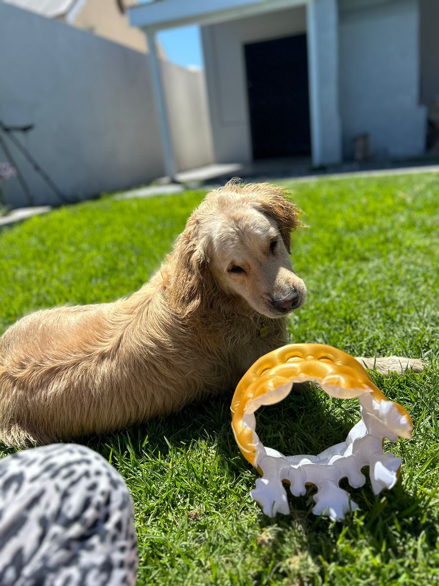 Angel Campey tweet media