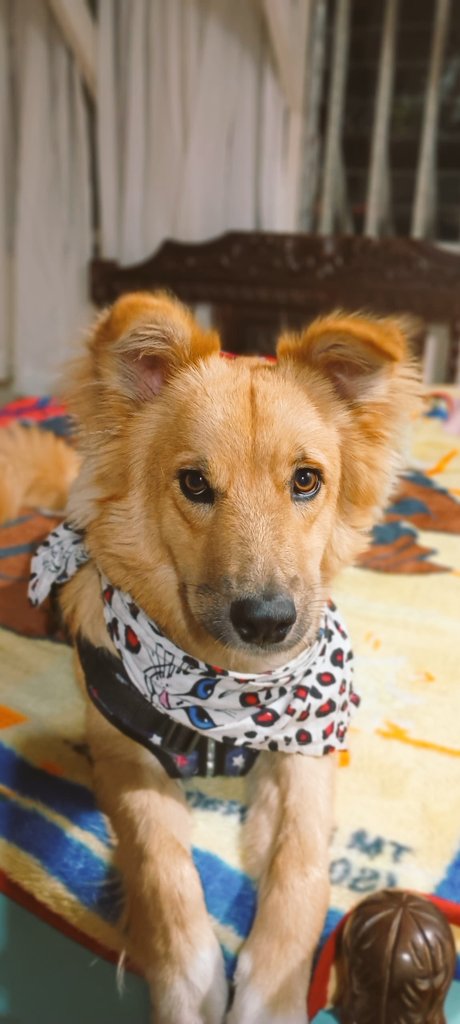 Miren a mi niña hermosa