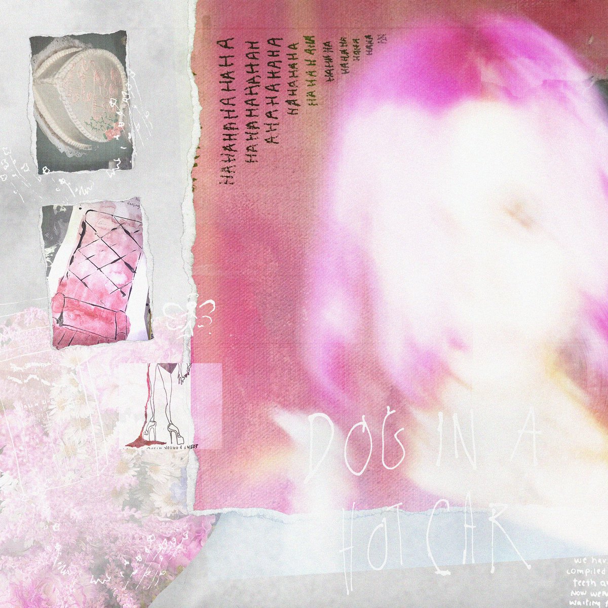 Jazz Life tweet media