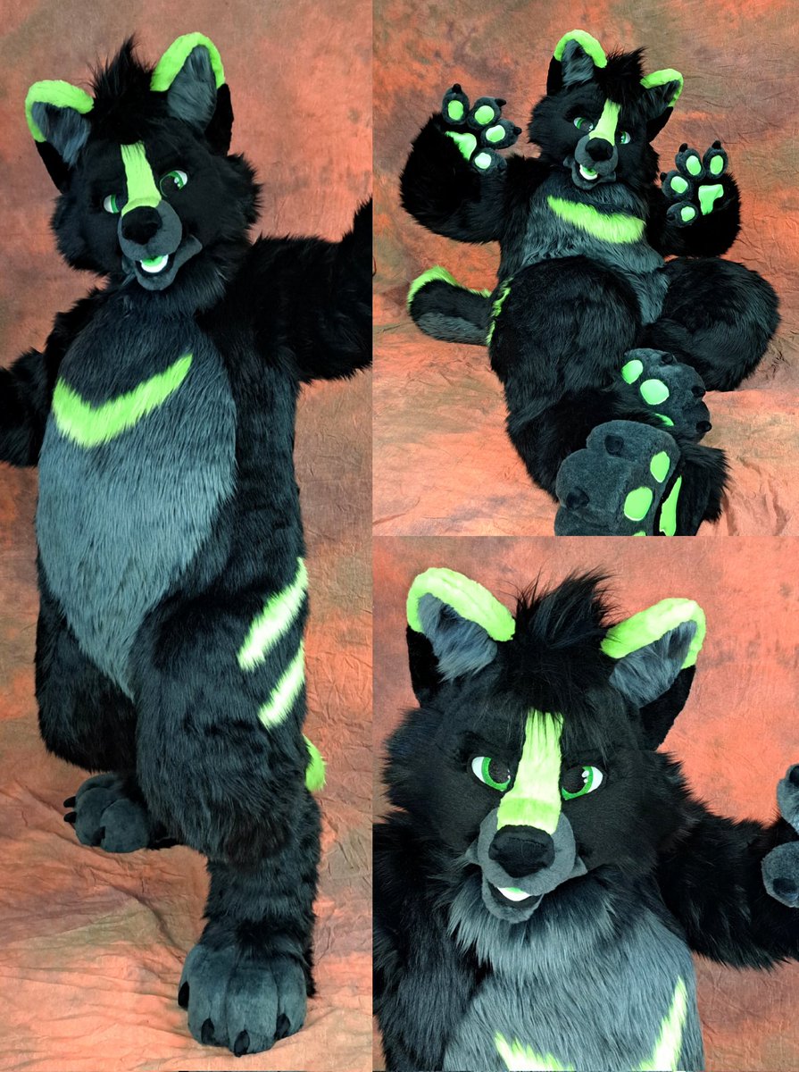 TheKareliaFursuits 🔜 EF tweet media