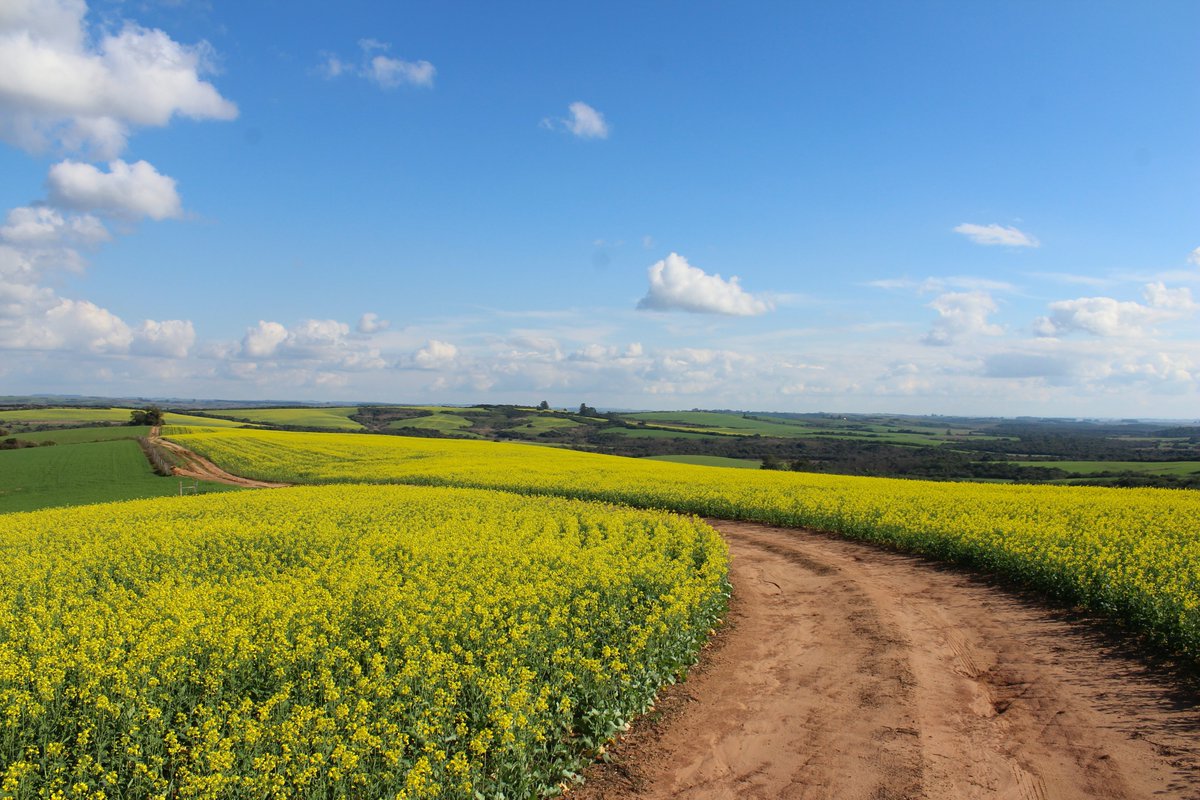 BETA Tech Centre tweet media