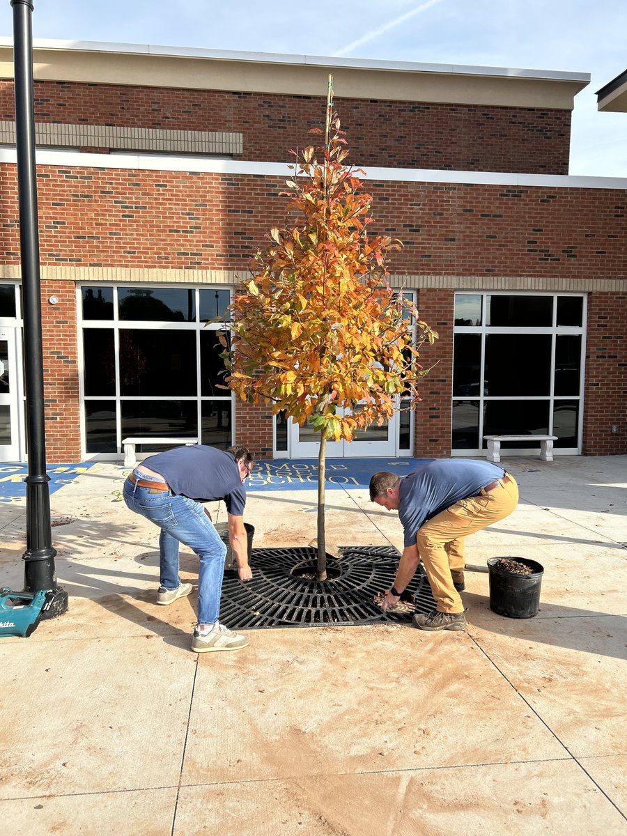 SmokeRiseSTEM's tweet photo. @NWF @DCSDSTEM @wrightway99   Staff and Smoke Rise families spent Thanksgiving eve planting 3 new trees in front of the school. These trees were an "angel" donation from the community. The STEM curriculum advocates sustainability and environmental stewardship. https://t.co/JttZ88NuK4