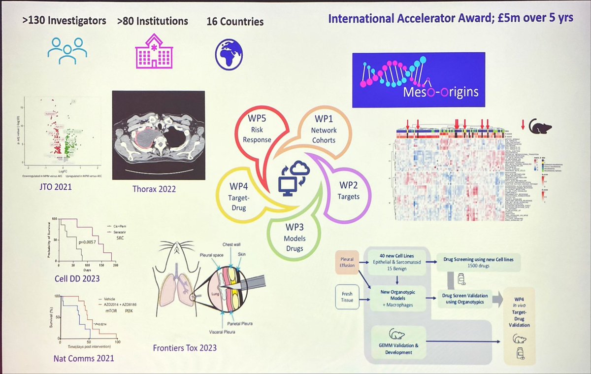 PREDICT-Meso: 
🧐 How does inflammation evolve into malignancy?
🧐 Can we diagnose mesothelioma at pre-malignant stage?
 
👉 80 institutions, 16 countries
👉 x5 work streams

Fantastic, ambitious, international, multi-faceted project