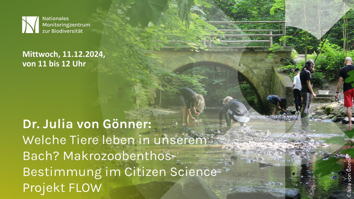 „Welche Tiere leben in unserem Bach?“ Im kostenlosen Online-Vortrag am Mittwoch um 11 Uhr geht es um das Citizen Science-Projekt FLOW. Hier anmelden.: bfn-event.webex.com/webappng/sites…
#citizenscience #biodiversität #artenkenntnis #biologischevielfalt #Fließgewässer #Makrozoobenthos