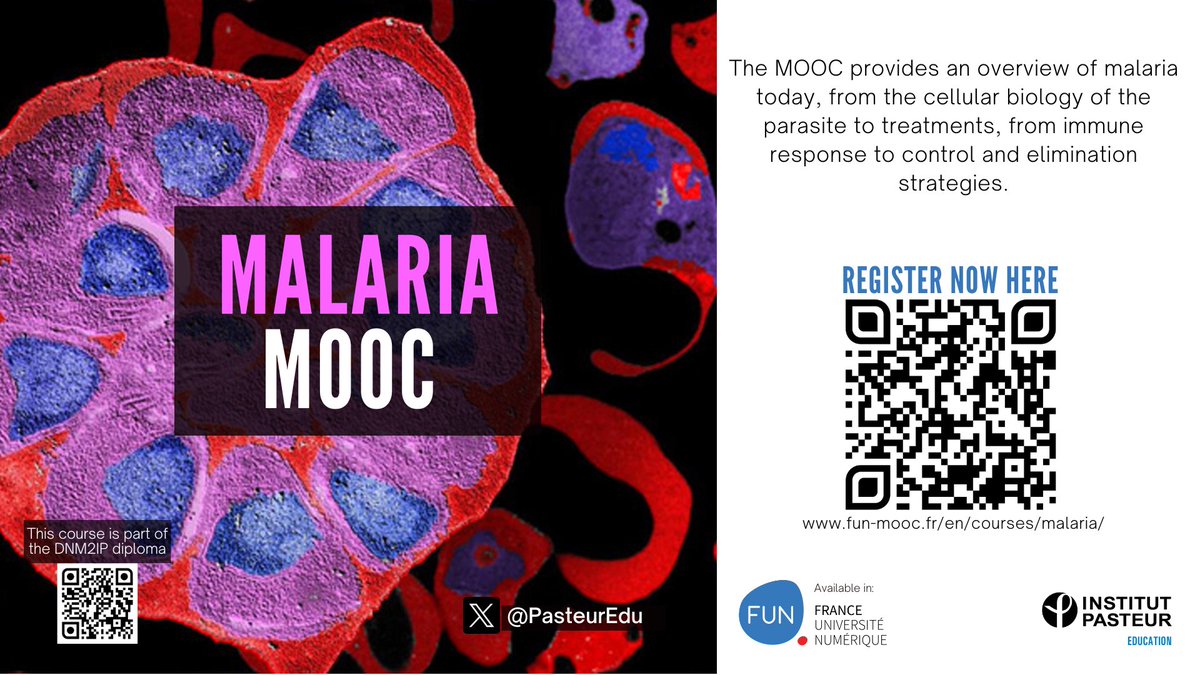 Institut Pasteur Education (@pasteuredu) on Twitter photo Last week of our Malaria MOOC🥲
This week 6 will cover the mosquito vector biology, transgenic mosquitos, parasite dormancy and P. vivax. Speakers: Ken VERNICK, Vincent ROBERT, Andrea CRISANTI, Didier MENARD, Ivo MUELLER, and <a href="/PAlonsoMalaria/">Pedro L. Alonso</a>. Last week of our Malaria MOOC🥲
This week 6 will cover the mosquito vector biology, transgenic mosquitos, parasite dormancy and P. vivax. Speakers: Ken VERNICK, Vincent ROBERT, Andrea CRISANTI, Didier MENARD, Ivo MUELLER, and <a href="/PAlonsoMalaria/">Pedro L. Alonso</a>.