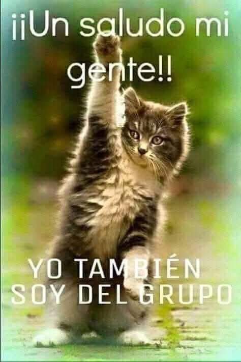 mcmarlyncris's tweet photo. @BlindadoGrupo1 #GRUPO🔝♍️
9/12 #FelizLunes @dody2463 @AyzaAle @mmalbahi @elsablo6 @Nosaltoque @LalyLovey1ra @acaisut @6ta_cuenta @ZeraClau @simoluz10 @AnaErbetta7614 @SofiaHep @HectorGe04 @hemera133 @hamarga78 @ejdc59 @Clota7 @hobbyta @hollywoodavid79 @Enanamaldi @ChilbitaSoyYO https://t.co/GKd46238Ac