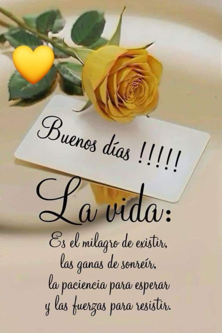 mcmarlyncris's tweet photo. @BlindadoGrupo1 #GRUPO🔝♍️
9/12 #FelizLunes @dody2463 @AyzaAle @mmalbahi @elsablo6 @Nosaltoque @LalyLovey1ra @acaisut @6ta_cuenta @ZeraClau @simoluz10 @AnaErbetta7614 @SofiaHep @HectorGe04 @hemera133 @hamarga78 @ejdc59 @Clota7 @hobbyta @hollywoodavid79 @Enanamaldi @ChilbitaSoyYO https://t.co/GKd46238Ac