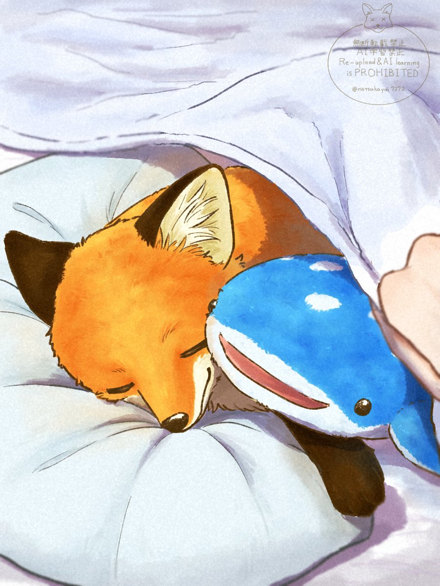 夏朱 優衣/ 書籍「きつねと一緒に暮らしたら」5月18日発売🦊 tweet media