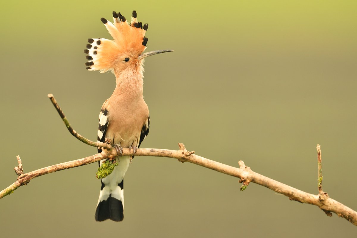 Today, #AGRIFISH Ministers are gathering in Brussels to brief the new Commissioner for Agriculture and Food <a href="/CHansenEU/">Christophe Hansen</a> on their discussions around a Common Agriculture Policy post-2027.

For the CAP to truly benefit farmers, it must be reformed to address existing and future