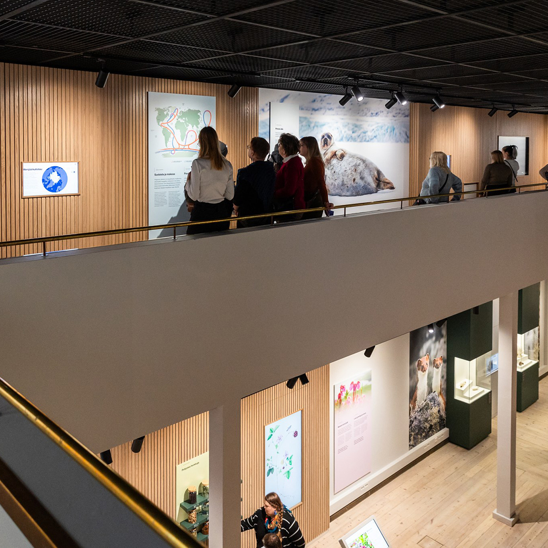Arctic_Centre's tweet photo. Tiedekeskuksemme upouuden VASTAKOHTIEN ARKTIS -näyttelyn avajaisia vietettiin viime viikolla.

Keskiviikkona 4.12. näyttelyyn pääsivät kurkistamaan kutsuvieraat ja yleisölle näyttely avattiin itsenäisyyspäivänä. 

Tervetuloa tutustumaan uudistettuun näyttelyyn!

📸Marko Junttila https://t.co/EijfcG3RaT