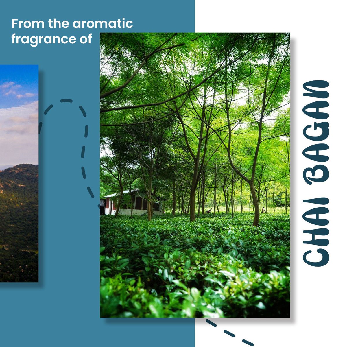 Chhattisgarh Tourism tweet media