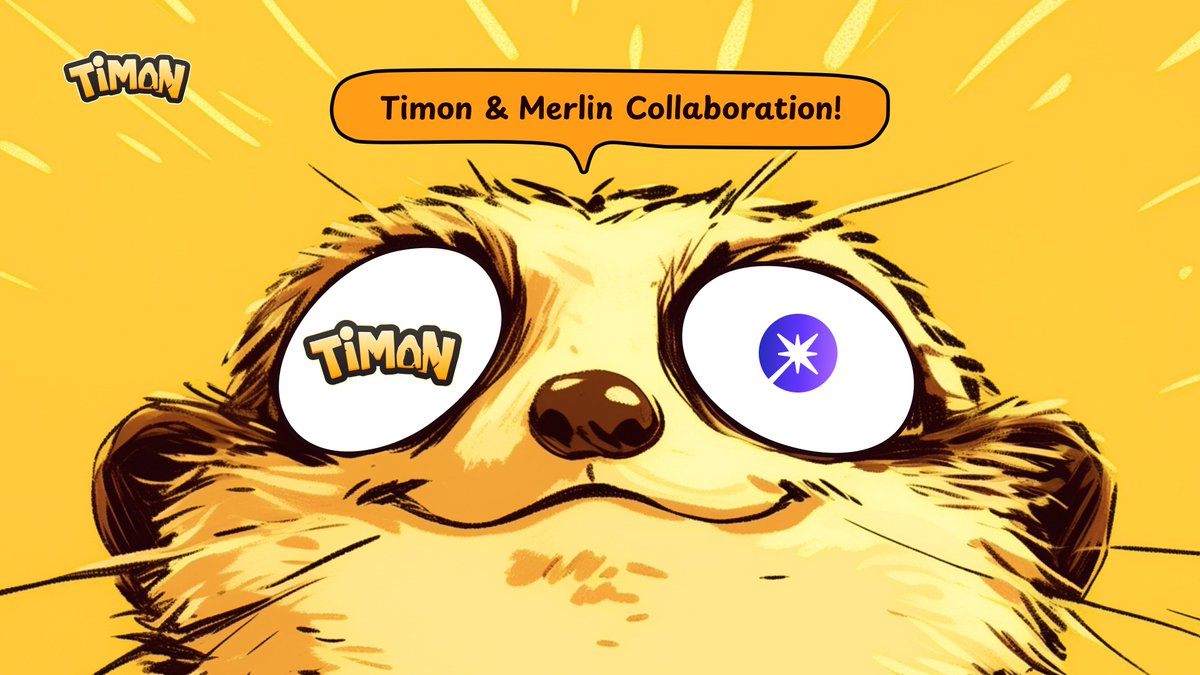 TimonFun tweet media