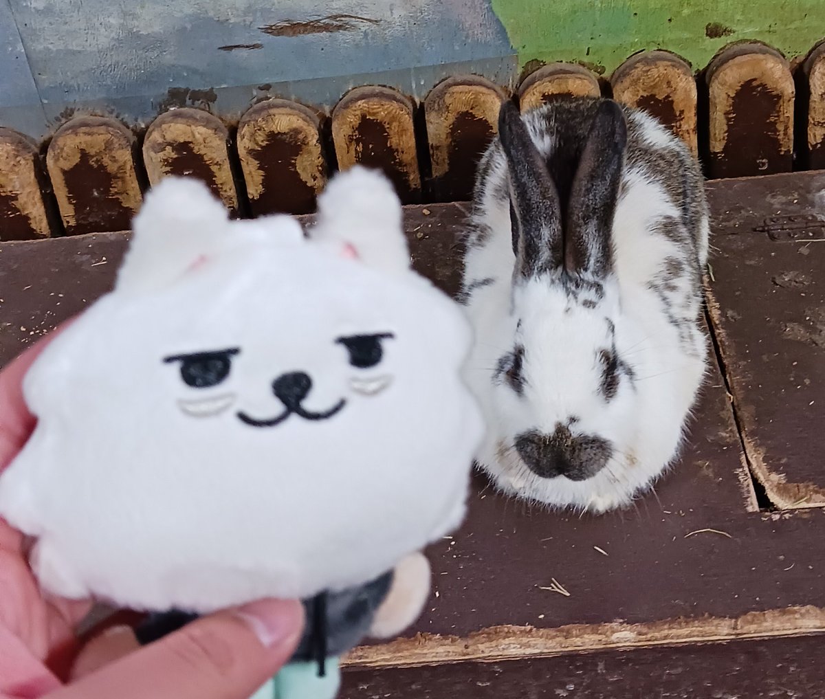 수빈이 두마리