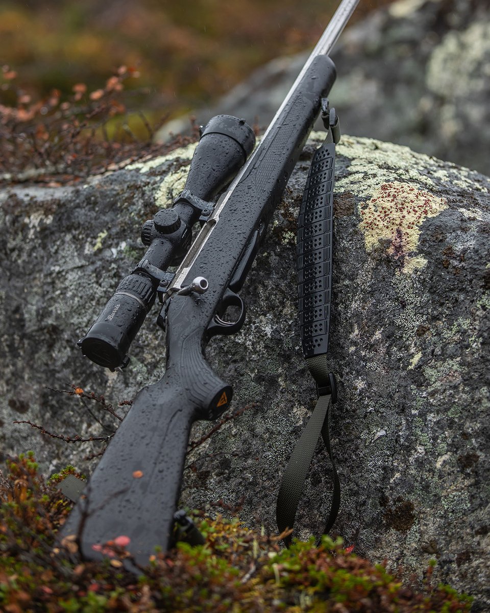 TIKKA CANADA tweet media