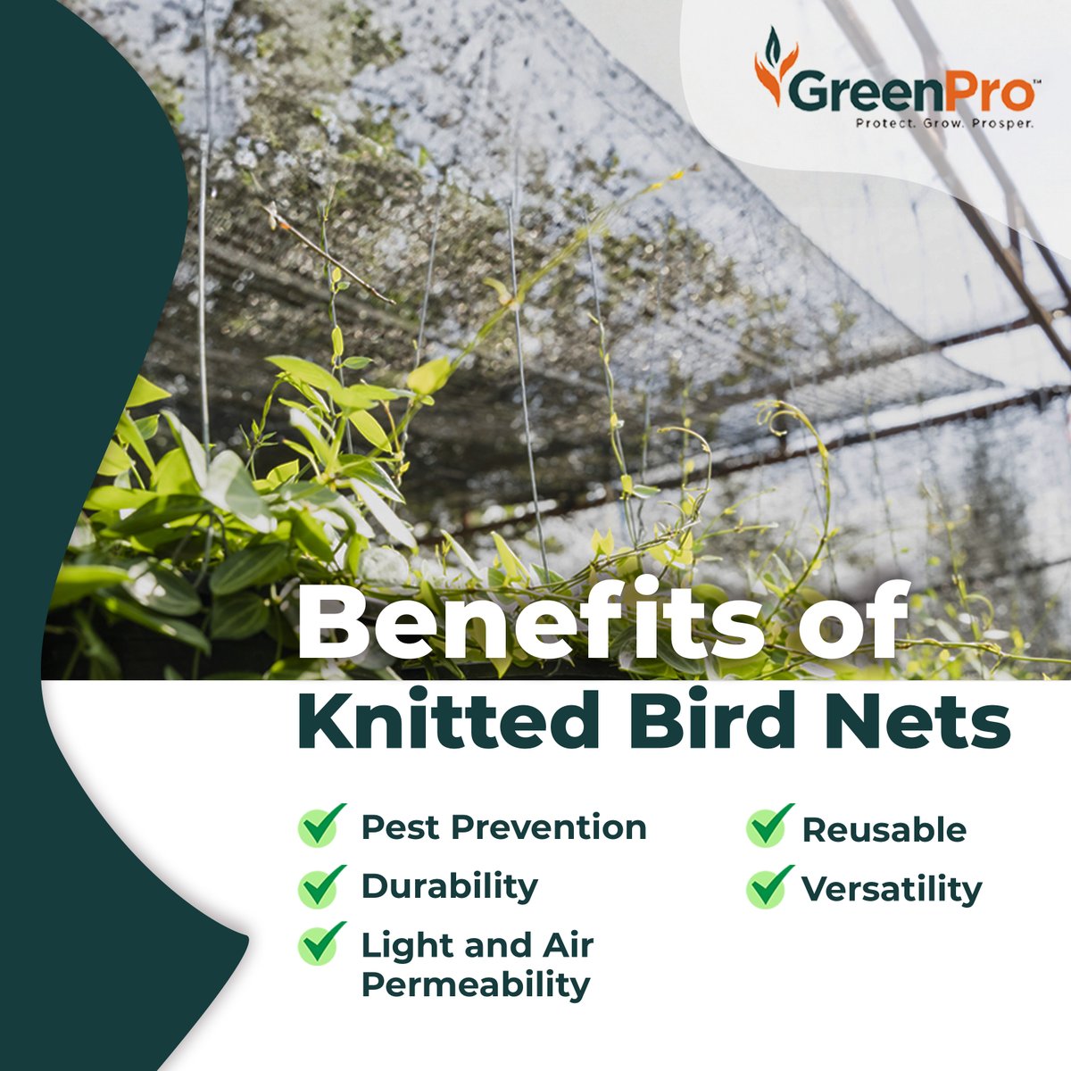 GreenPro_India's tweet image. Protect your harvest with GreenPro's Knitted Bird Nets! Durable, breathable, and reusable, they prevent pests while promoting healthy plant growth.

greenproventures.com/product/bird-n…

#knittedbirdnet #birdnet #garden #pondnetting #greenhousefilms #plants #agriculture #protectcrops #farming