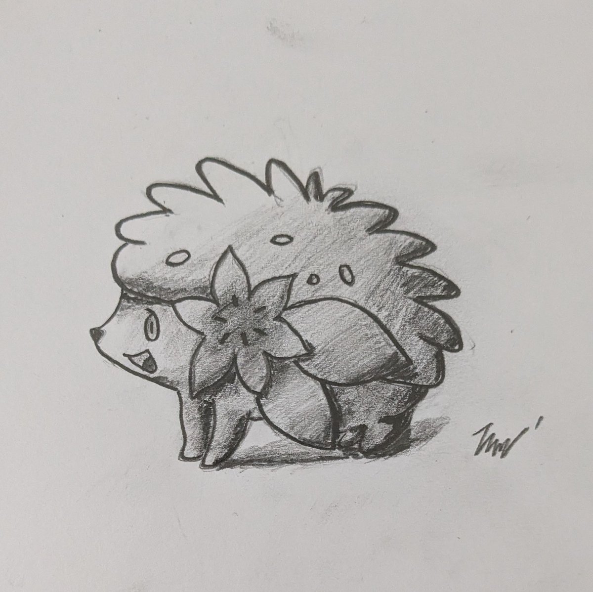 この前ハリネズミカフェに行ったので描きました笑
一緒にいたら幸せを運んでくれそうですね✨
#シェイミ
#ポケモン
#ポケモンイラスト