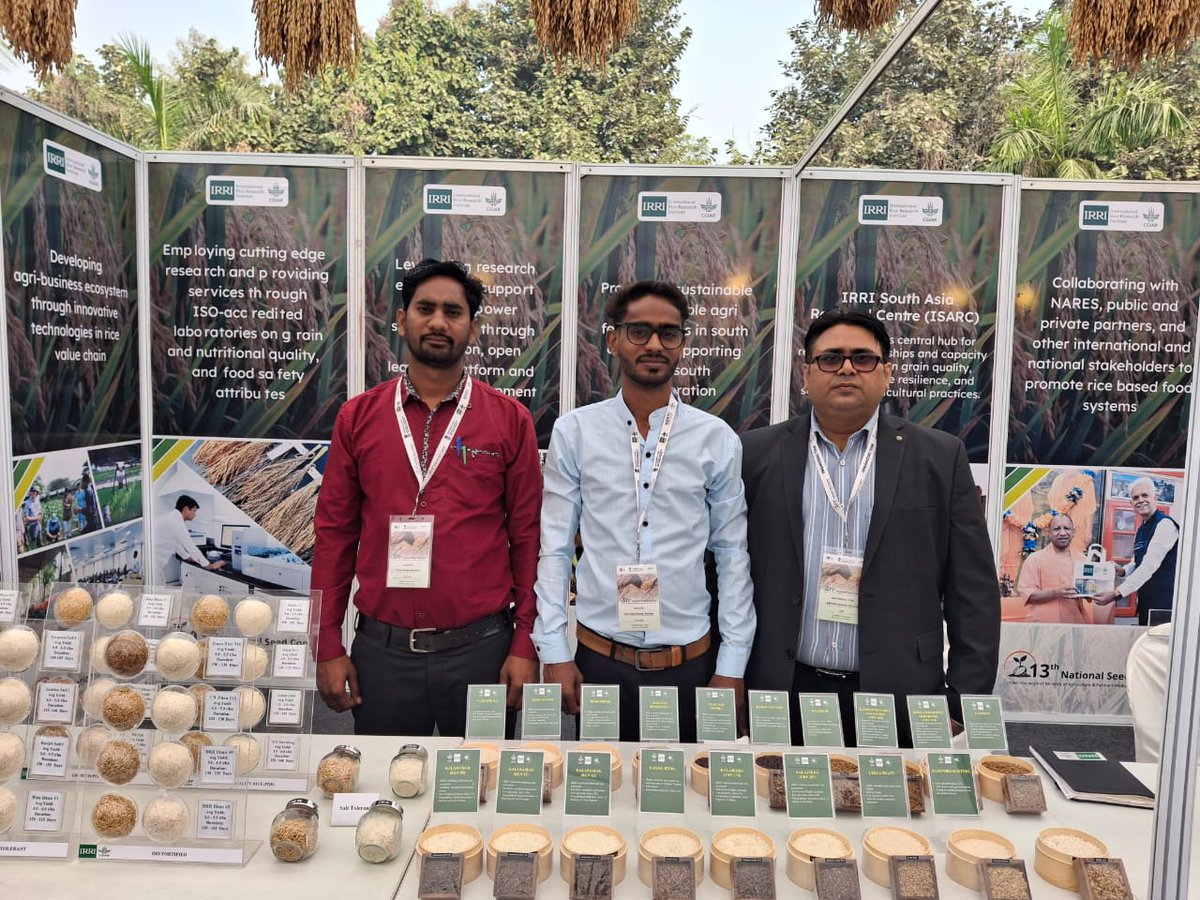 agriconsamiti's tweet photo. Our team represented @agriconsamiti at the 13th National Seed Congress hosted by @irri & The Ministry of Agriculture
We showcased innovations in climate-resilient seeds, DSR and seed processing.
#NationalSeedCongress2024 #SeedInnovation #FarmersFirst #CASforChange #Kavir https://t.co/Suh35CppJ0