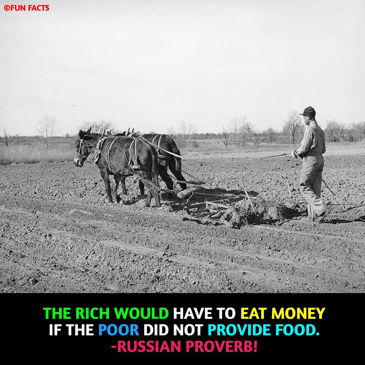 UWCforYouth's tweet photo. A PM who feels threatened by protesting farmers, Modi ‼️
Who is the PM protecting ⁉️
Adani ⁉️
#Modani #JPConAdani
#ModiHaiTohAdaniSafeHai
#FarmersProtest3
#FarmersProtest2024 https://t.co/oViJuw7vgO