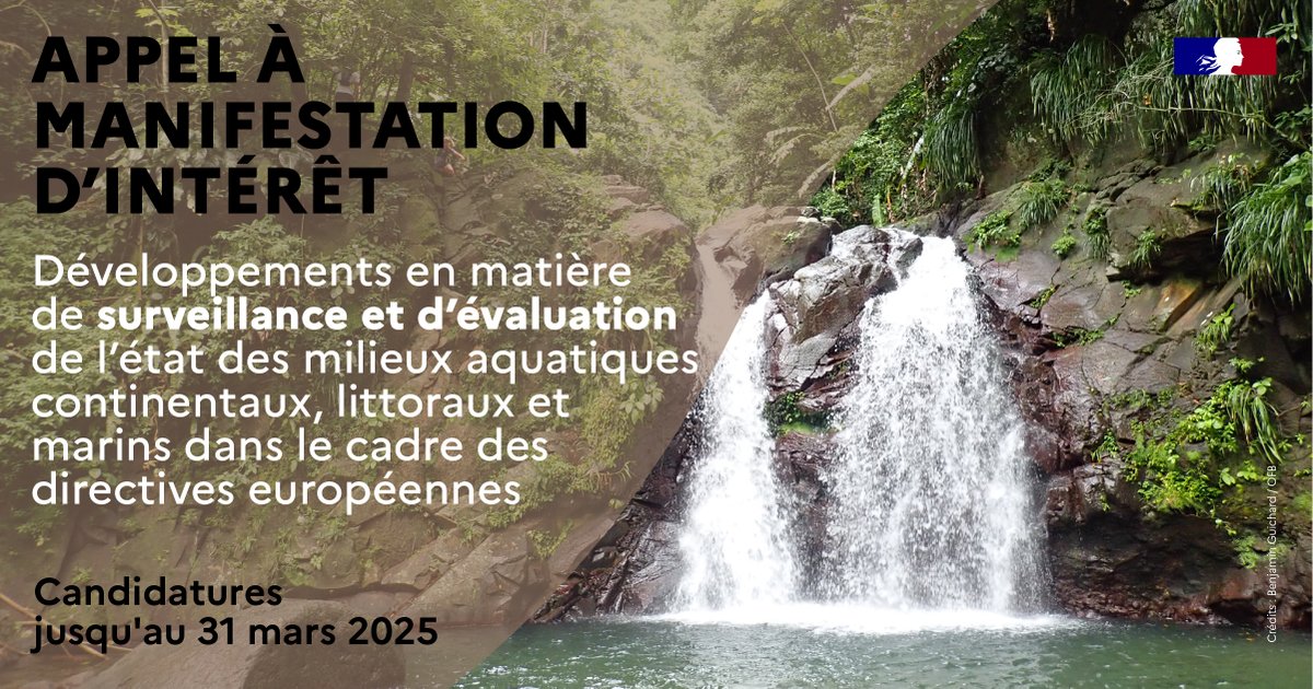 📣 [APPEL À MANIFESTATIONS D'INTÉRÊT] : Surveillance &amp; Evaluation

Cet AMI vise à cofinancer des projets de R&amp;D opérationnels permettant d’améliorer la surveillance et l’évaluation de l’état des milieux aquatiques dans les Outre-mer

👉ofb.gouv.fr/actualites/5em…