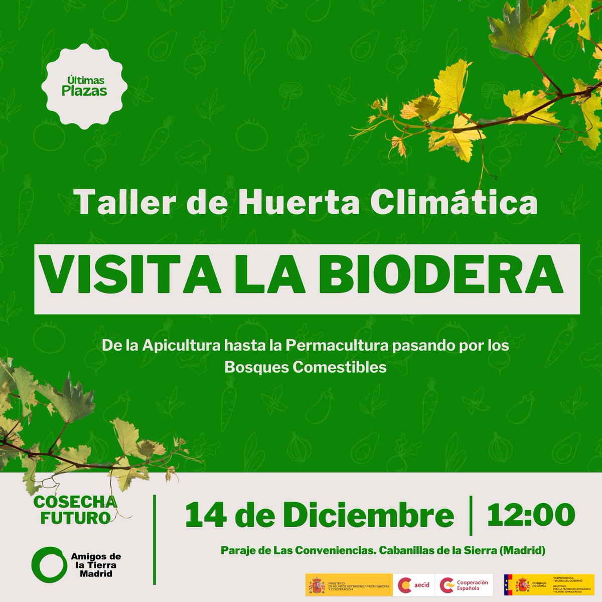 🌻 ¿Plan para el 14 de diciembre?🌻
Te invitamos a una visita al huerto de La Biodera:

🌱 Descubre su proyecto agroecológico
🍎 Aprende sobre bosques comestibles
🍴 Trae comida para compartir

🎯 Plazas limitadas, inscríbete: forms.gle/BFc6tMTt3mR5G8…