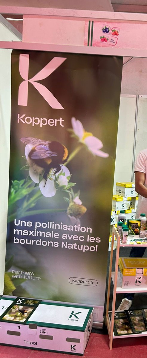 Visit of the 5th International Red Fruit Fair in Larache! This key event showcases Morocco's thriving red fruit sector and its global reach. An opportunity to meet Dutch companies contributing expertise and innovation to the industry. #Agriculture #RedFruits #NetherlandsMorocco