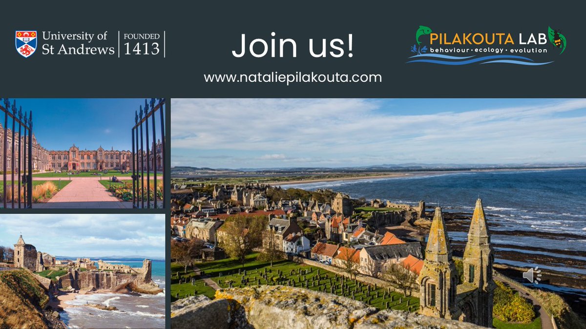 Natalie Pilakouta (@npilakouta) on Twitter photo 📢 Another PhD opportunity in my lab <a href="/univofstandrews/">University of St Andrews</a> 📢
"It’s getting hot in here: uncovering the molecular mechanisms underlying changes in social behaviour at increased temperatures" 🐞🌡️
findaphd.com/phds/project/e…
Co-supervisor: Prof Mike Ritchie
Apply by January 17
Please RT! 📢 Another PhD opportunity in my lab <a href="/univofstandrews/">University of St Andrews</a> 📢
"It’s getting hot in here: uncovering the molecular mechanisms underlying changes in social behaviour at increased temperatures" 🐞🌡️
findaphd.com/phds/project/e…
Co-supervisor: Prof Mike Ritchie
Apply by January 17
Please RT!