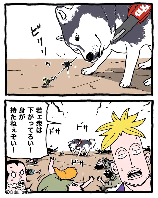 ワンピースの世界線だとこんな感じかな 
