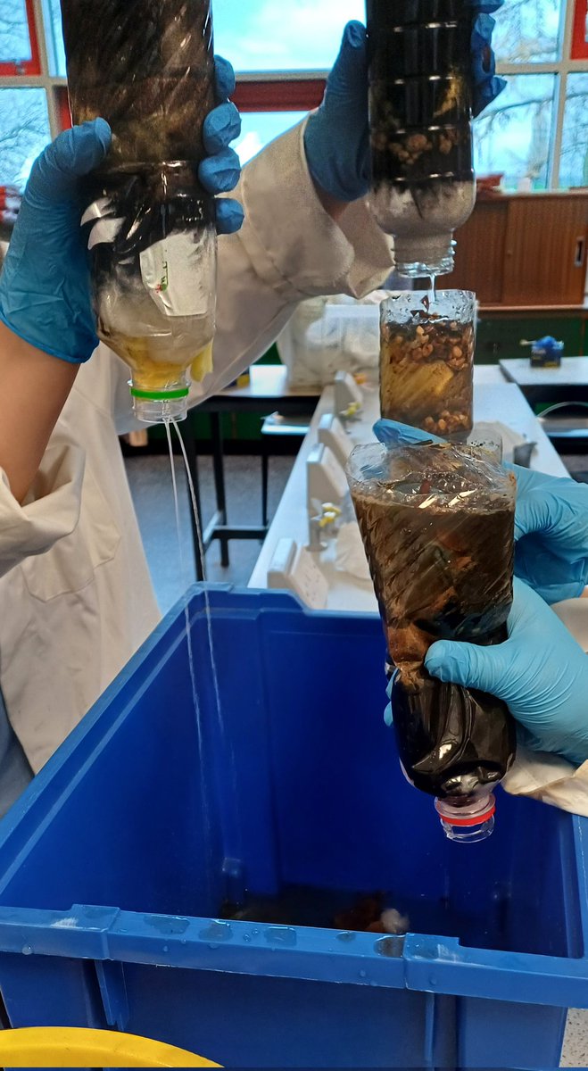 St Wilfrids Science tweet media