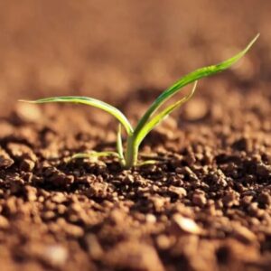 BlueCommunity_N's tweet photo. The Global Threat of Drying Lands
Three-quarters of Earth’s land became permanently drier in last three decades, the UN documents. Five billion people could be affected by 2100. 
https://t.co/0OXO6CYgwn https://t.co/65VdWJ5AlO