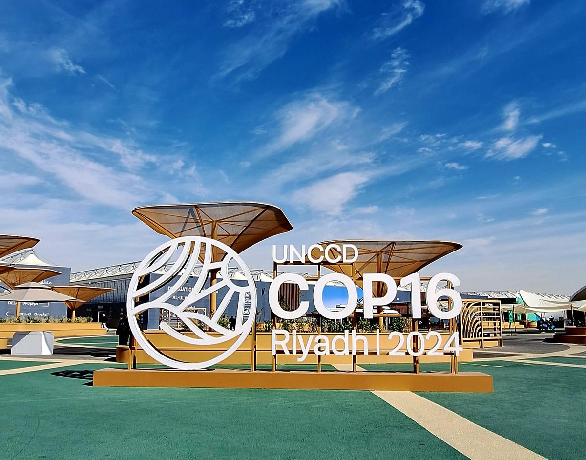 C'est Pas Du Vent! tweet media