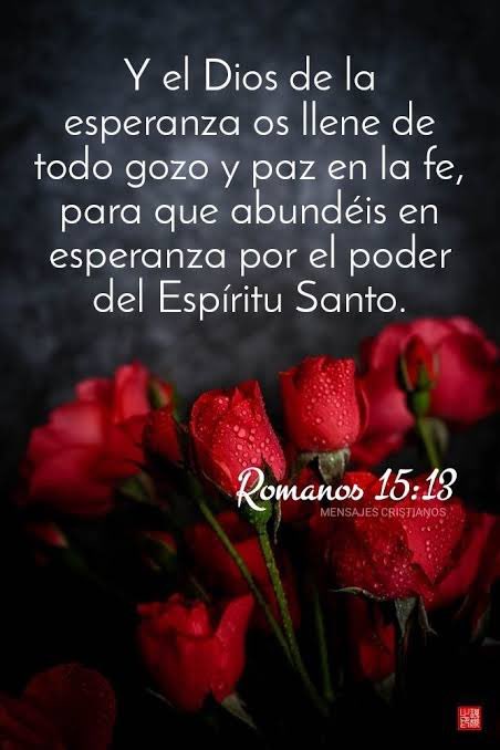 GuzmanSDaniel's tweet photo. Vive como Cristo: apoya a los débiles, busca la unidad en la fe y edifica a otros con amor. Encuentra esperanza y fortaleza en las Escrituras, permite que el Espíritu Santo llene tu vida de gozo y paz. El evangelio es universal; como Pablo, comparte salvación. #rpsp #Romanos15 https://t.co/JAwKcETKP6