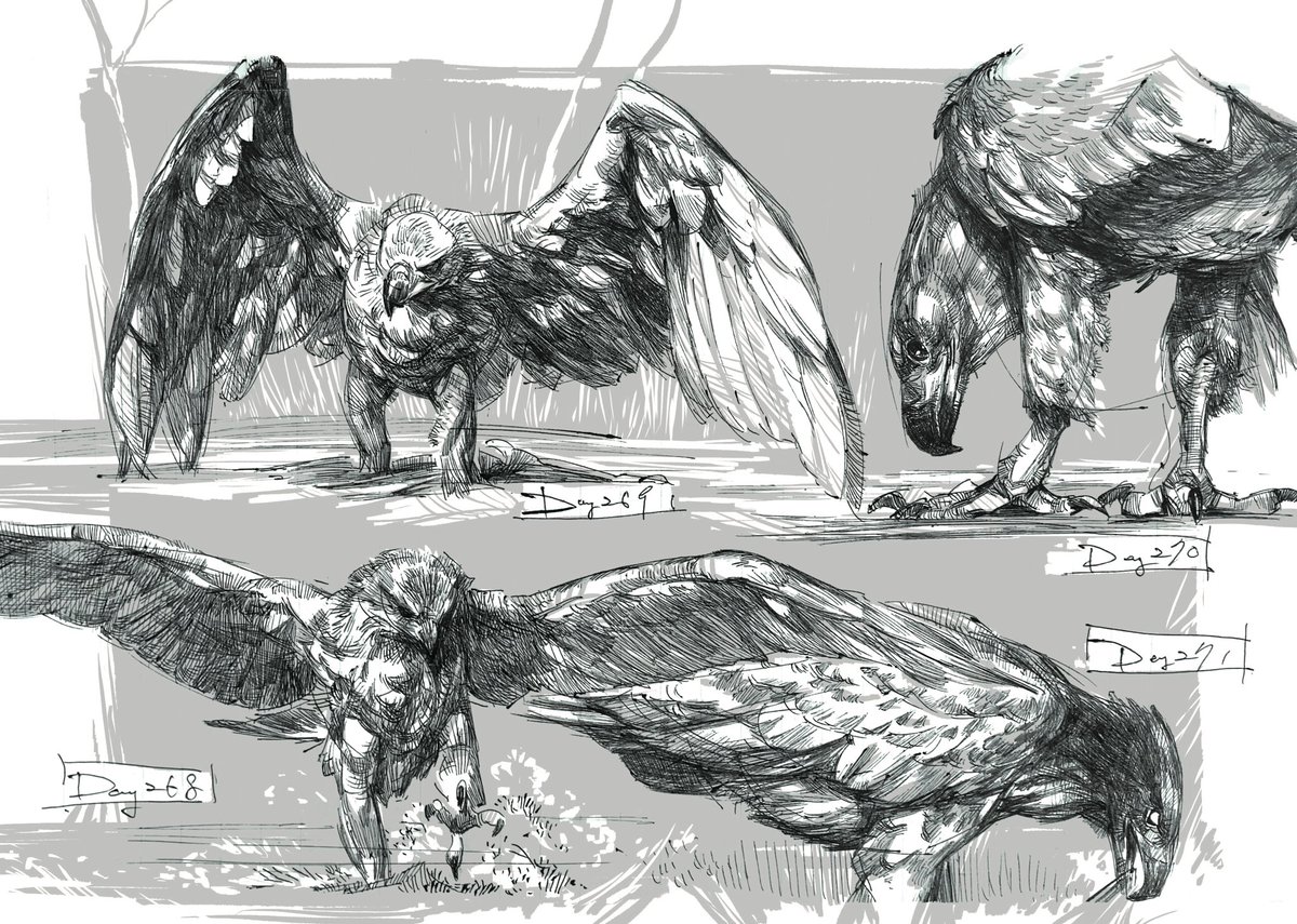 DRAGONizm tweet media