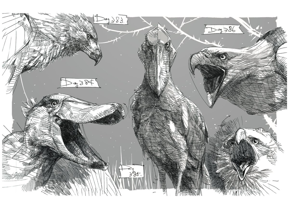 DRAGONizm tweet media