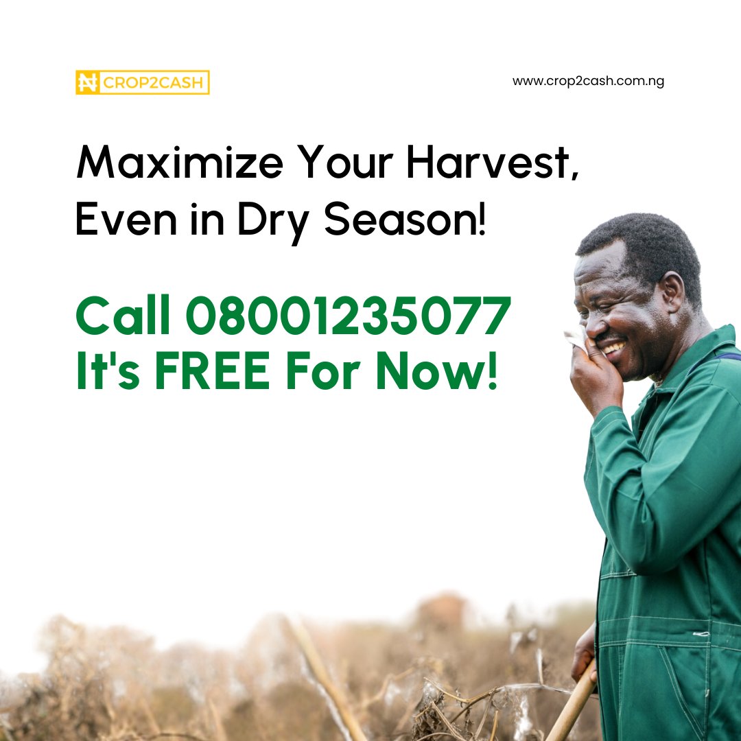 🌼🌻 Are you planting pepper, tomato, cucumber, watermelon, okra, ewedu, Soko, spinach, and beans/cowpea this dry season? 🤔 Dial +234(0)8001235077 for expert advice on a Successful dry season planting in Nigeria! 📞