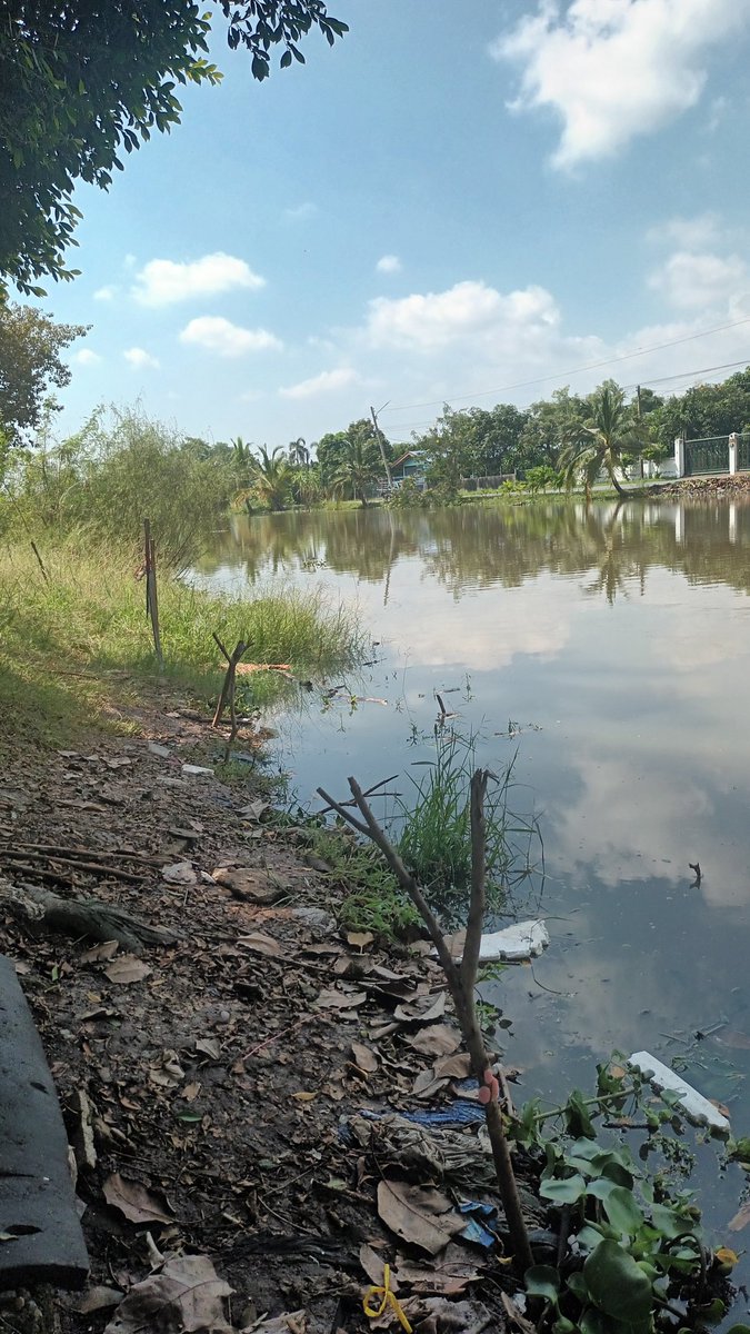 ดวงใจของแม่ tweet media