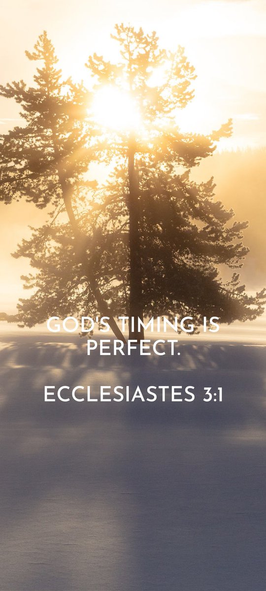 TeaBird12's tweet photo. Love this❤ Shared from Bible Verses: Daily Devotional app - https://t.co/p8g09ceRH4

#bible #bibleverse #bibleverses #bibleversesdaily #bibleverseoftheday #biblequotes #biblequote https://t.co/tJPmU0NwxD
