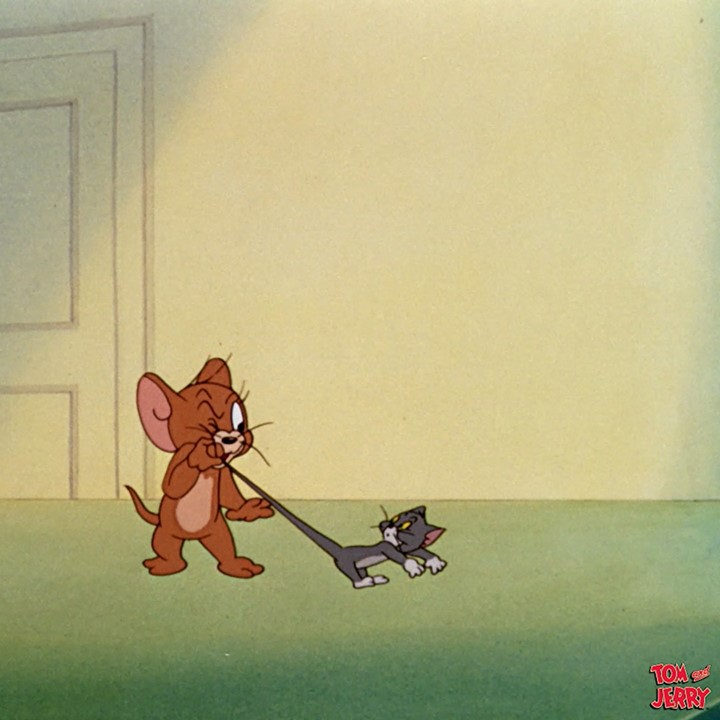 トムジェリ検定』開催📝 皆さんはどれだけ分かりますか？ 第②段