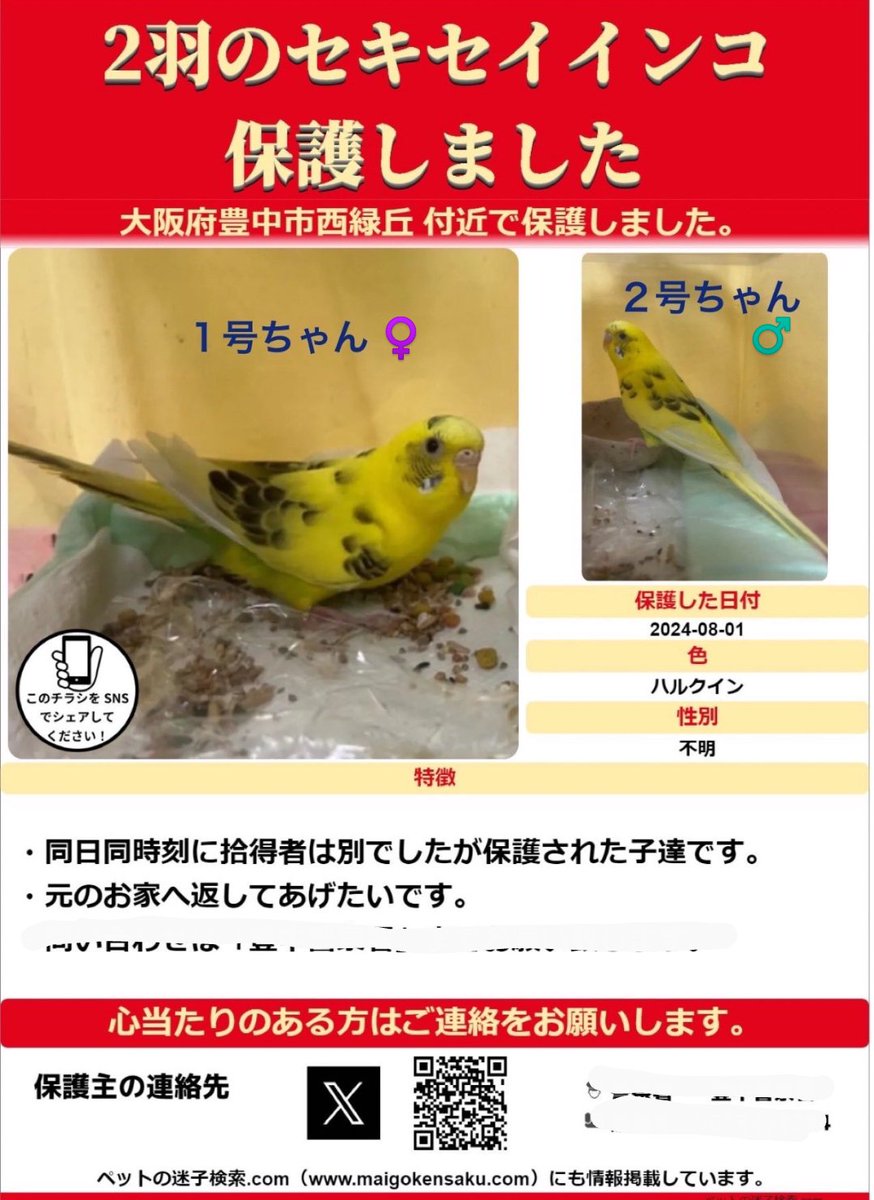 rutan_outi's tweet photo. 情報待ってます🙏
迷子セキセイ🟡ルーはプロフィール参照

🟢ちーたんさん保護、うち預かり緑セキセイ掲示板
https://t.co/rbsFzrdPJr
https://t.co/7RzdLqPgHY
https://t.co/i4oSoej9ea

🟡8月～FUJIKOさん保護、11月～うち預かりセキセイ２羽掲示板
https://t.co/XK8zYfrf9B
https://t.co/BYgu58aaZc https://t.co/IwhqxmEyZZ