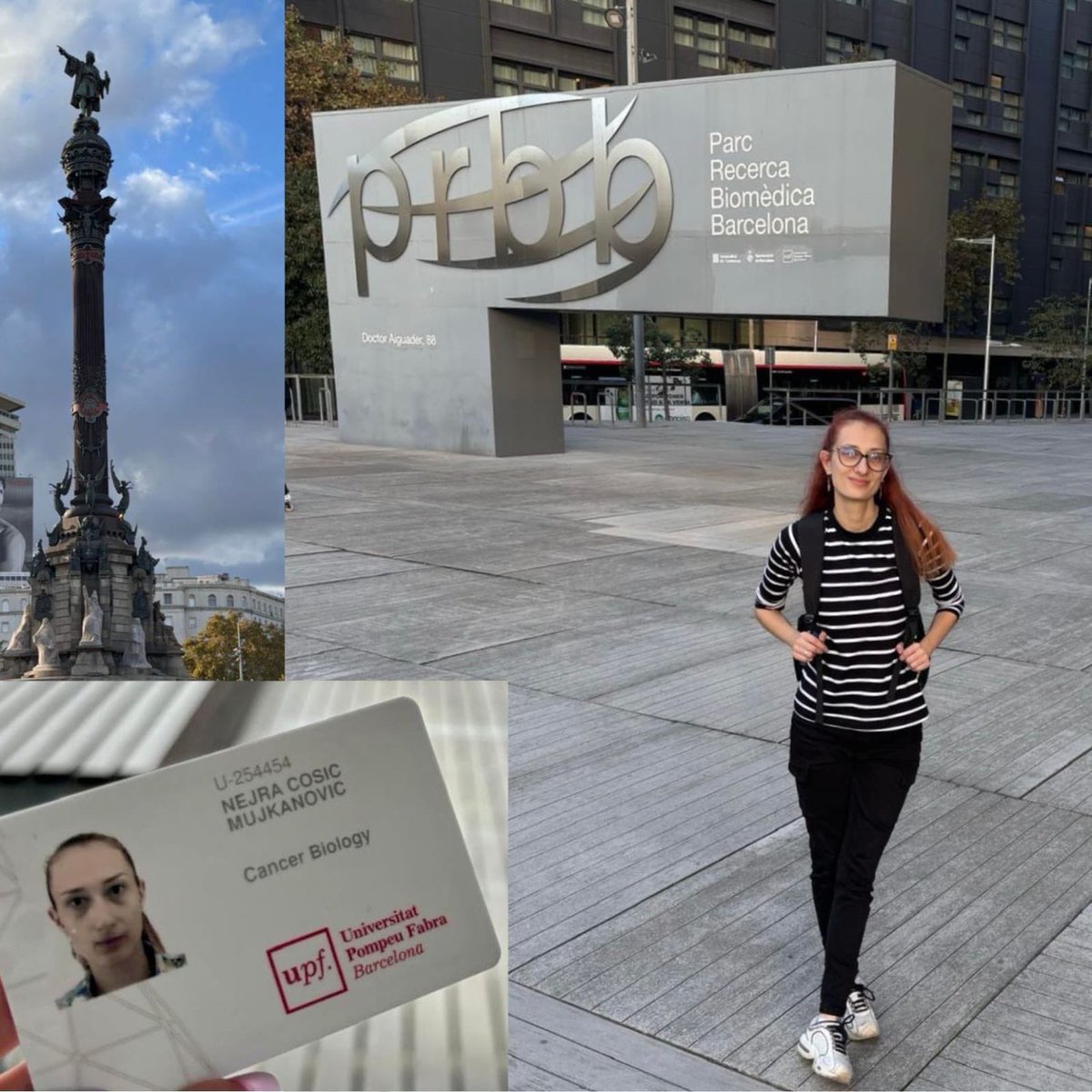 RESPImmun PhD Program tweet media