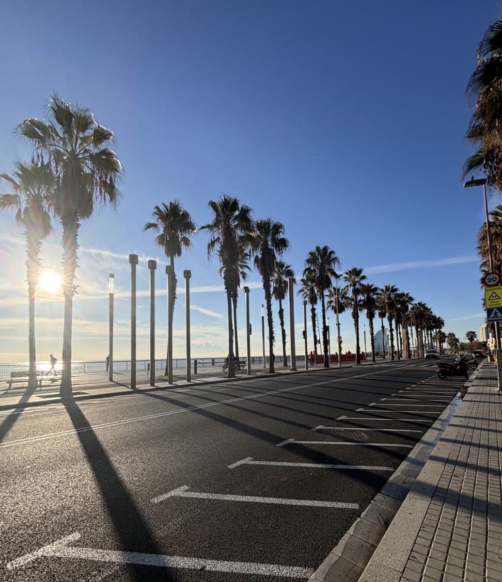 RESPImmun PhD Program tweet media