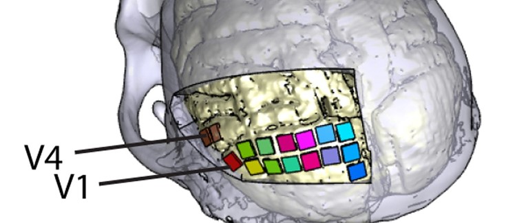 Centro Experimental Cyborg - UMH tweet media