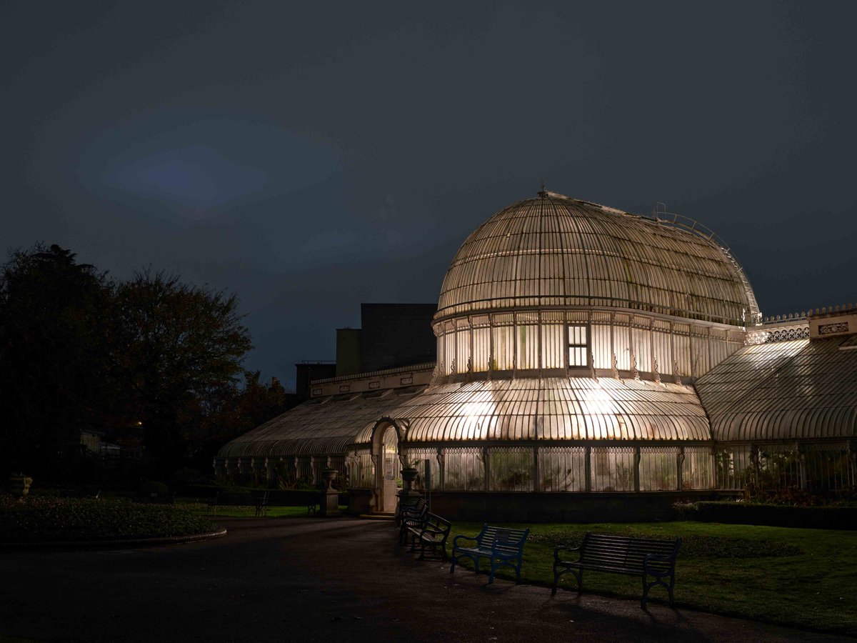 Household_Bel's tweet photo. As the year winds down and we prepare for new beginnings, we’re taking a moment to reflect on our recent project, Red Sky at Night: a vibrant festival of new art commissions by an incredible line-up of international artists @BCouncil_NI @belfastcc @MondriaanFonds https://t.co/hIuwTqvKVa