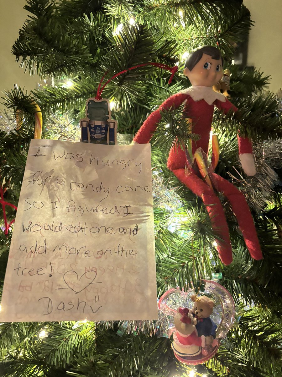 cutecolleen85's tweet image. Dash added more candy canes on the tree… when he was done, he ate one!! 🤦🏻‍♀️😂 *silly Dash!!*

#adventureswithDash #elffun #Christmas2024