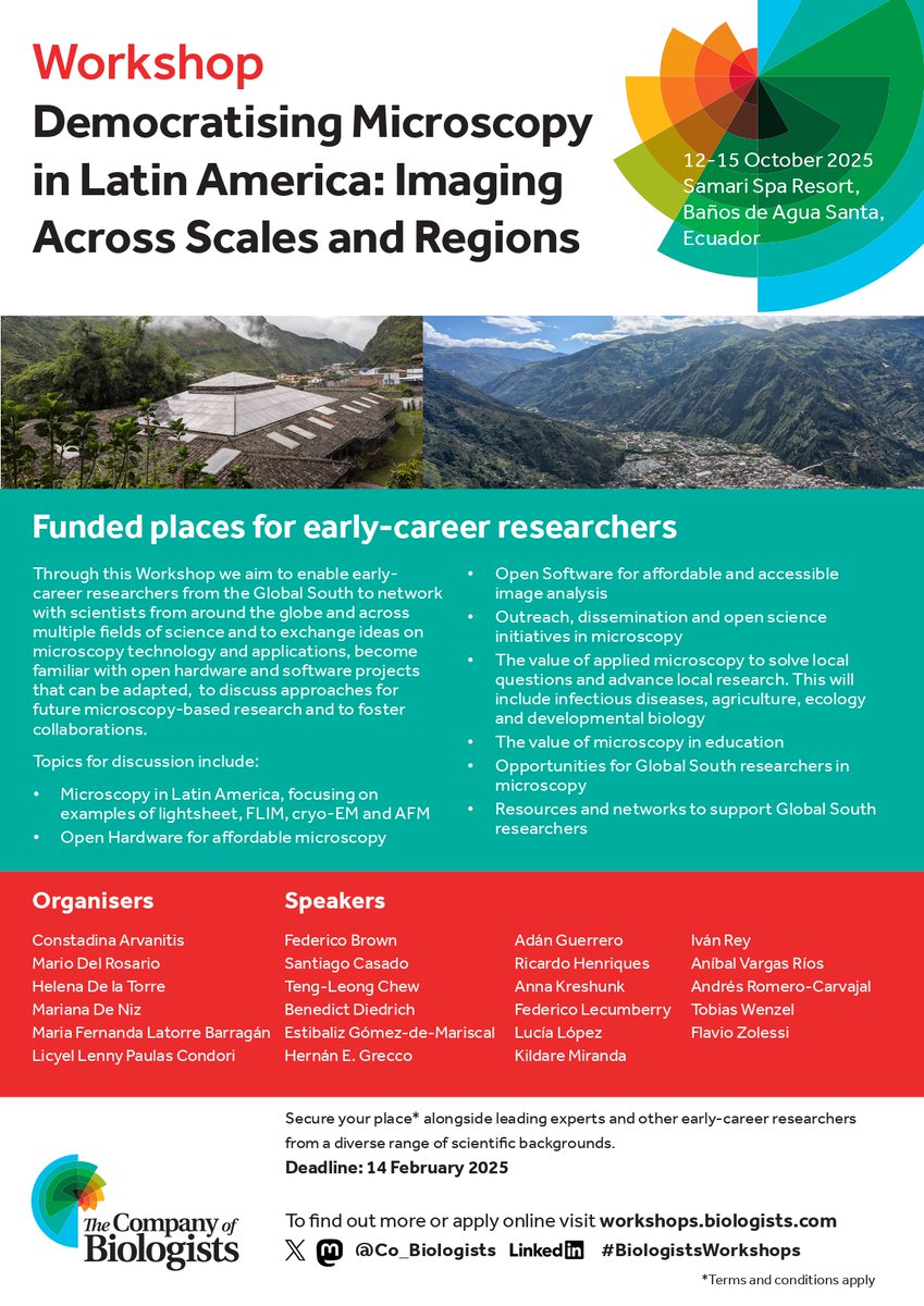 Diego Rayes tweet media