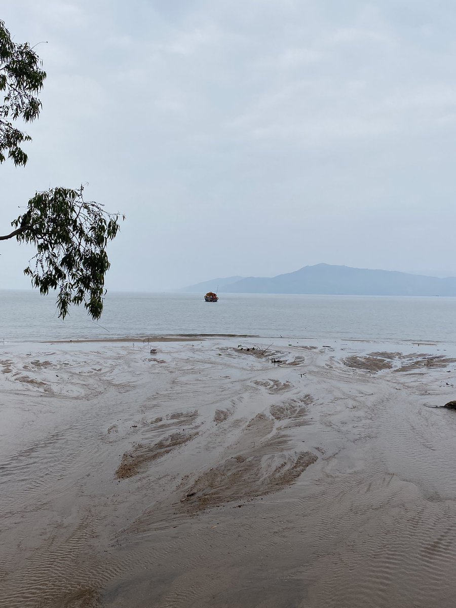 pascalboeckx's tweet image. Tracing the trail of eroded fertile soils during a high intensity rain... sciencedirect.com/science/articl…