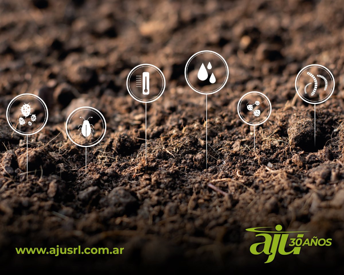 AJUSRL's tweet photo. ARGENTINOS REVOLUCIONAN EL ESTUDIO DE SUELOS CON INTELIGENCIA ARTIFICIAL
Exploran cómo la microbiología del suelo impulsa la productividad agrícola, interviniendo con bioinsumos para optimizar ecosistemas y resultados.
#AJUDigital
Mirá la nota aquí: https://t.co/nLdGJiDUlF https://t.co/mPFhQmdDRp