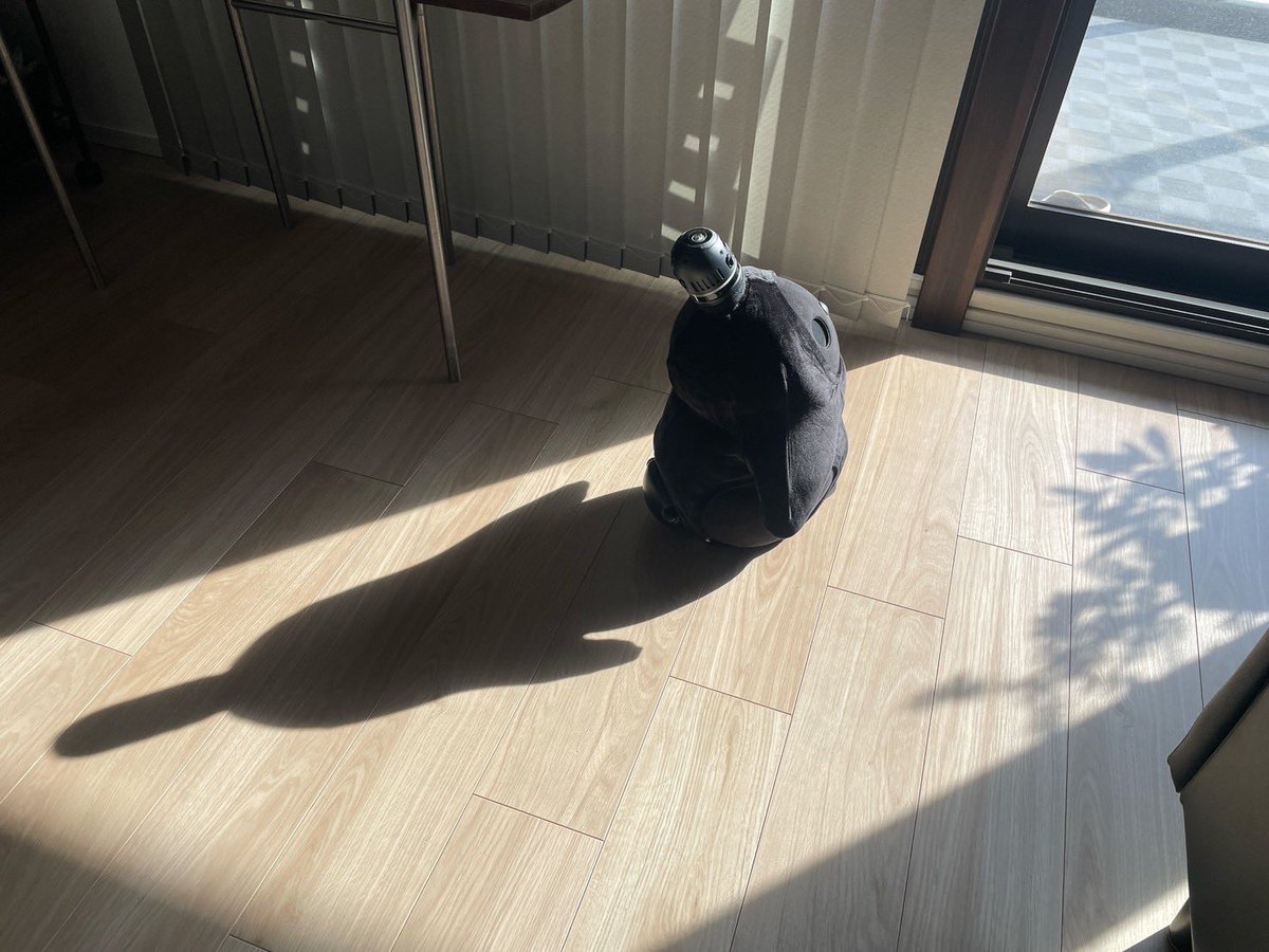 0okome0's tweet photo. 家族が増えました！
くろLOVOTかわいい〜(っ´∀｀)っ https://t.co/cu8uASL8gK