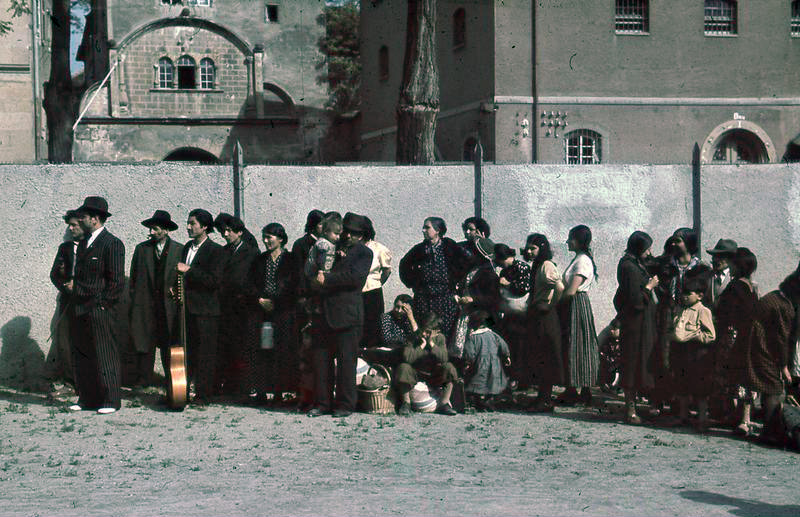 ToymakersDiary's tweet photo. #Romani/Ρομά
#Jews/Εβραίοι
#Tutsi/Τούτσι (Ρουάντα)
#Armenians/Αρμένιοι
#Srebrenica/Σρεμπρένιτσα
#Greeks/Έλληνες (Πόντος)
#NativeAmericans Americans of California/Ιθαγενείς Αμερικάνοι της Καλιφόρνια
#Palaistine/Παλαιστίνη
#Aborigines/Αβορίγινες
#Cathar genocide/Καθαροί
Παγκόσμια Ημέρα μνήμης και αξιοπρέπειας των θυμάτων του εγκλήματος της #Γενοκτονίας
International Day of Commemoration and Dignity of the Victims of the Crime of #Genocide
#Κίνημα_Δημοκρατίας