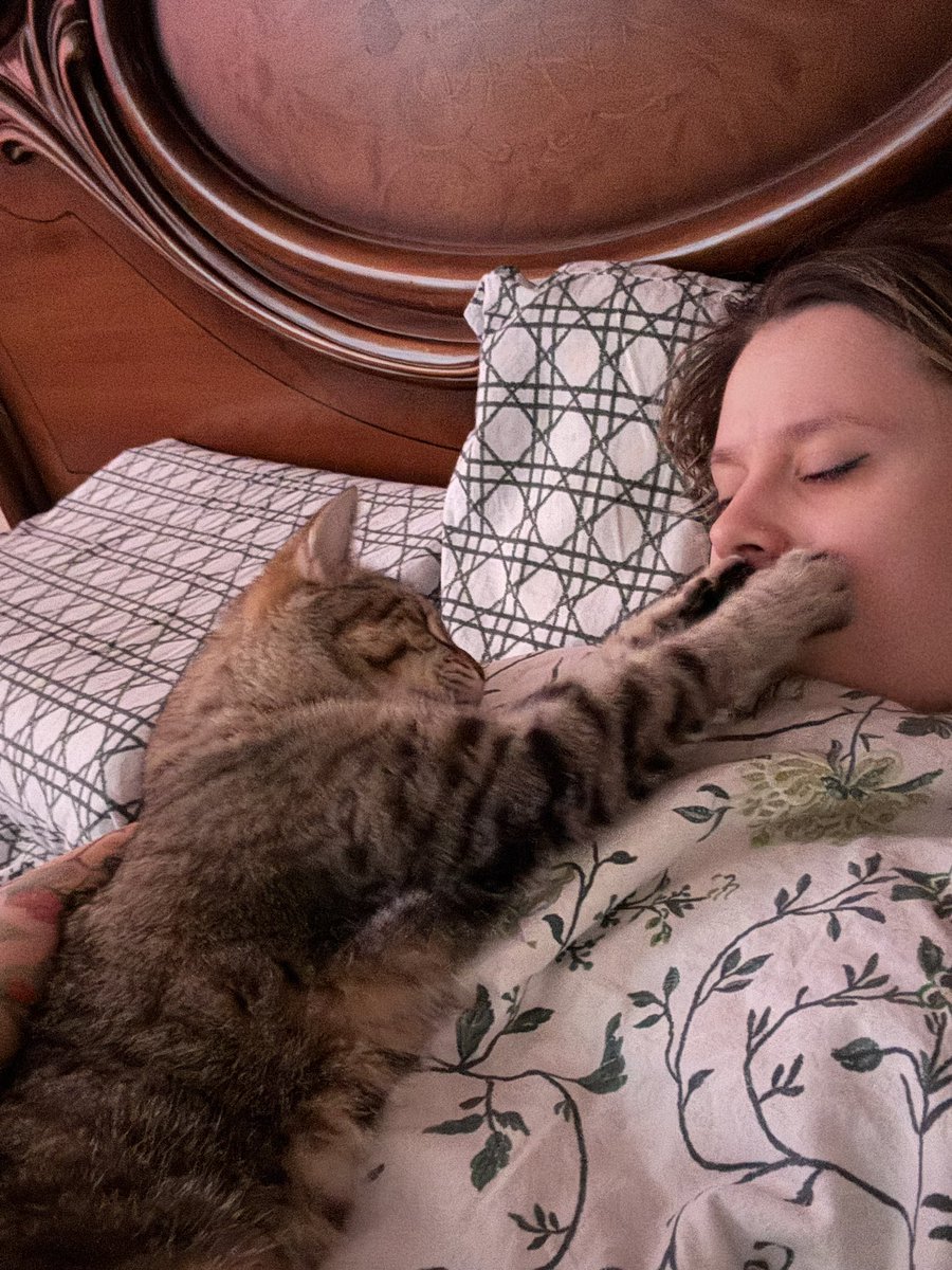 Каждое утро в нашем доме начинается одинаково. Это уже обычай. Традиция. Я бы сказала - ритуал.