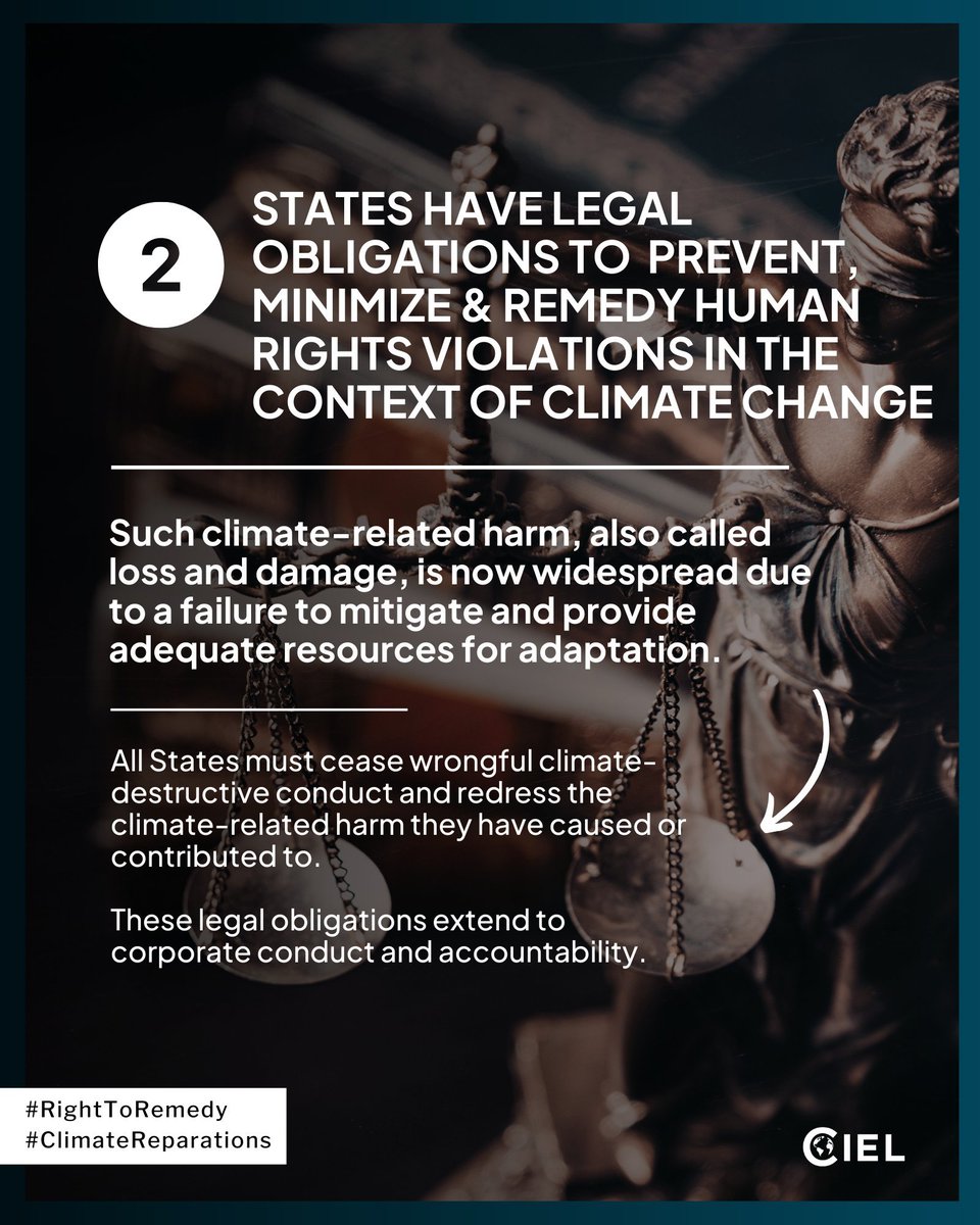 lienvandamme's tweet photo. The @CIJ_ICJ can help break @UNFCCC inertia, esp. regarding #ClimateAccountability. For far too long, climate negotiations have failed to uphold obligations to redress mounting #ClimateHarm or #LossAndDamage.

The law is clear: those harmed have a #RightToRemedy https://t.co/OdnO7uyj6R